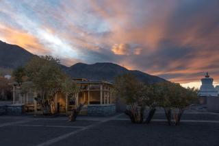 The Postcard in The Himalayan Willows, Stok, Leh - Leh - 7