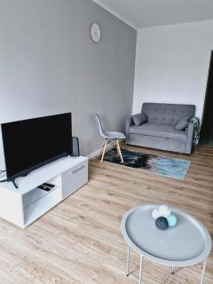 Green Apartment - Danzig - 3