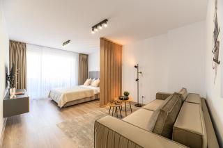 SB Nest Studio - Brasov - 3