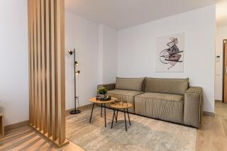 SB Nest Studio - Brasov - 8