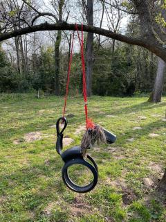 Le Moulin Haut Gîtes - 3