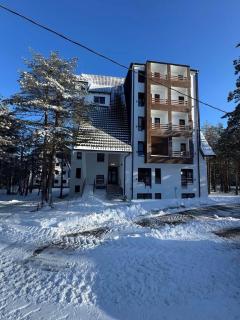 Apartman Centrum Divčibare - Divčibare - 2