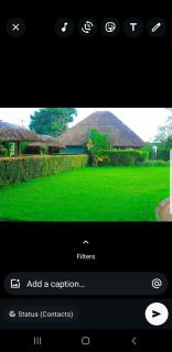 Birdsnest chill out - Nalakonge - 4