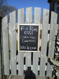 Daleholme - Penrith - 8