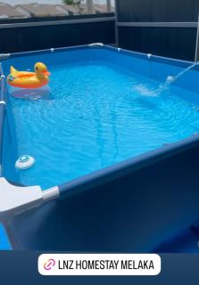 LNZ Pool Homestay Melaka - - 9