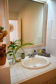 Villa Corail - Premier repas offert sur place - Cap Malheureux - 7