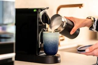 Waldvilla mit Tiny House im Küstenwald - Lubmin - 1