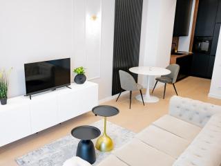 Aviatiei Elysee Luxury Apartment 1BR - Bucharest - 2