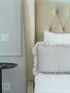 Aviatiei Elysee Luxury Apartment 1BR - Bucharest - 2