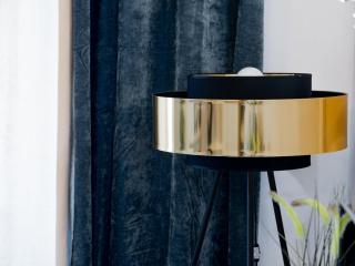 Aviatiei Elysee Luxury Apartment 1BR - Bucharest - 8