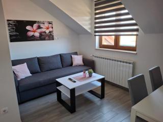 Apartman OBLAK Ravna gora - Ravna Gora - 8