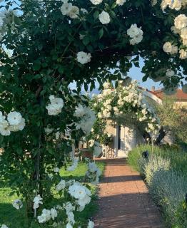 Casa le valli - Cantagrillo - 5