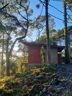 Bosque dos Xaxins I Cabana com Hidro - Urubici - 9