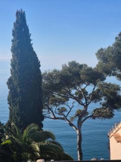 Le Petit Levant sea view studio - Cavalaire-sur-Mer - 4