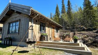 Liaplassen Mountain Chalet - 0