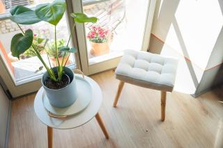Stylish apartment in the baroque house - Löbau - 5