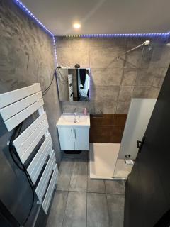 Superbe appartement silencieux dans l'hyper centre - Lione - 6