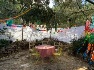 the Meshushe - Kadita - 6