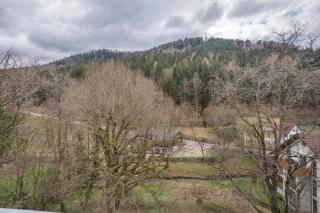 Kuckucksnest - 6