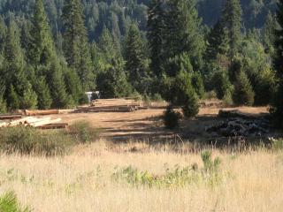 Romantic Trinity Cabin Getaway with Lovely Woodland Views in Nevada City, California - - 4