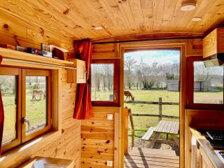 Baie Normandie Cottage Tiny House isolée , chauffée, 40min Mt St Michel 30min Mer Draps Serviettes - La Chapelle-Cécelin - 6