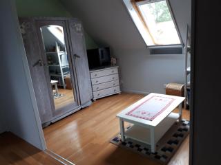 Charmant appartement près de Berstett - 42 m² avec jardin - Berstett - 6