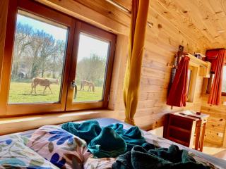 Baie Normandie Cottage Tiny House isolée , chauffée, 40min Mt St Michel 30min Mer Draps Serviettes - 9