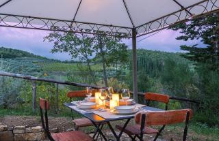 Ginestra apartment, into the vineyard - Panzano - 0