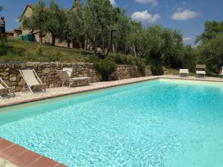 Ginestra apartment, into the vineyard - Panzano - 8