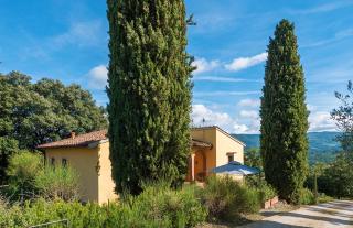 Ginestra apartment, into the vineyard - Panzano - 7