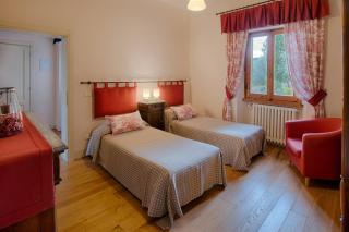 Ginestra apartment, into the vineyard - Panzano - 2