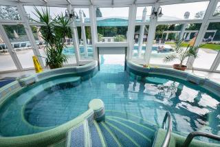 Liget Wellness és Konferencia Hotel - Szarvas - 4