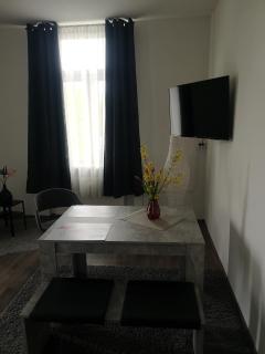 FeWo Vermietung Plauen - 5