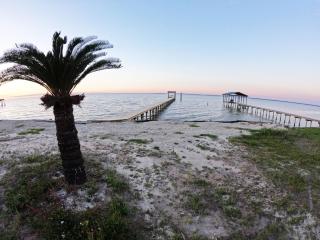 Dolphin Watch for Lasting Memories - Gulf Shores - 7