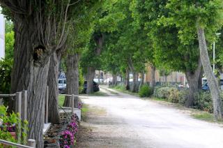 Stella - Casa per ferie - Bellaria-Igea Marina - 5