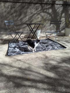 Cœur Bastide Saint Louis - 2