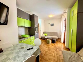 Zlatiborski Konaci, Konak 19, Apartman 3 - Zlatibor - 9