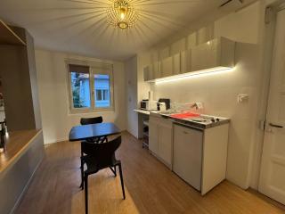 2 Twenty Fort Studio with pool Lyon - Villeurbanne - 5