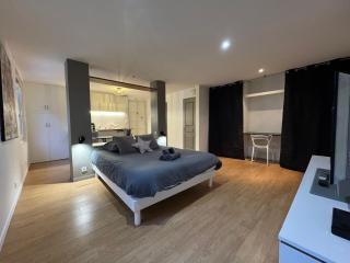 2 Twenty Fort Studio with pool Lyon - Villeurbanne - 6