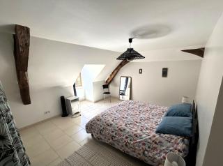 Manoir de la Frazelière - Gîte au cœur des châteaux de la Loire - 5