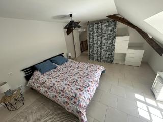 Manoir de la Frazelière - Gîte au cœur des châteaux de la Loire - Joué-lés-Tours - 4