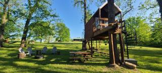 Tree House Glamping Destination near the Ozarks, with River Access for Swimming and Fishing - Berryville - 2