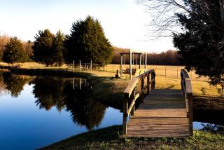 Family Lake Glamping for an Outdoor Adventure in Tupelo, Mississippi - Tupelo - 8