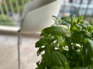 STUDIO The Nest Kastamonis Άνετο Studio για 2 κοντά σε ΙΑΣΩ & OAKA - Athen - 9