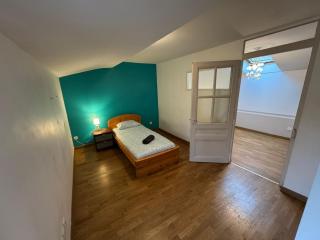 Spacious renovated villa Groupama Stadium LDLC - Décines-Charpieu - 1