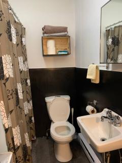 Logement Voyageurs Ou Travailleur 501 Citq 30202 - La Tuque - 6