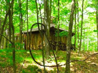Uniquely Crafted Tree House Rental near Lake Saint Catherine, Vermont - - 8