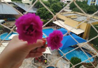 Apartamento para até 5 pessoas quarto andar com vista para piscinas 413 - Caldas Novas - 9