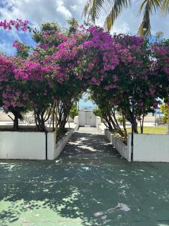 Apto 3 quartos pé na areia Prox de Recife - Recife - 0