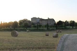 Countryhometuscany - Courtyard Room - Colle di Val d'Elsa - 7